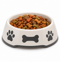 Non-Slip Pet Food Bowl – Paw Print Dog & Cat Feeding Bowl