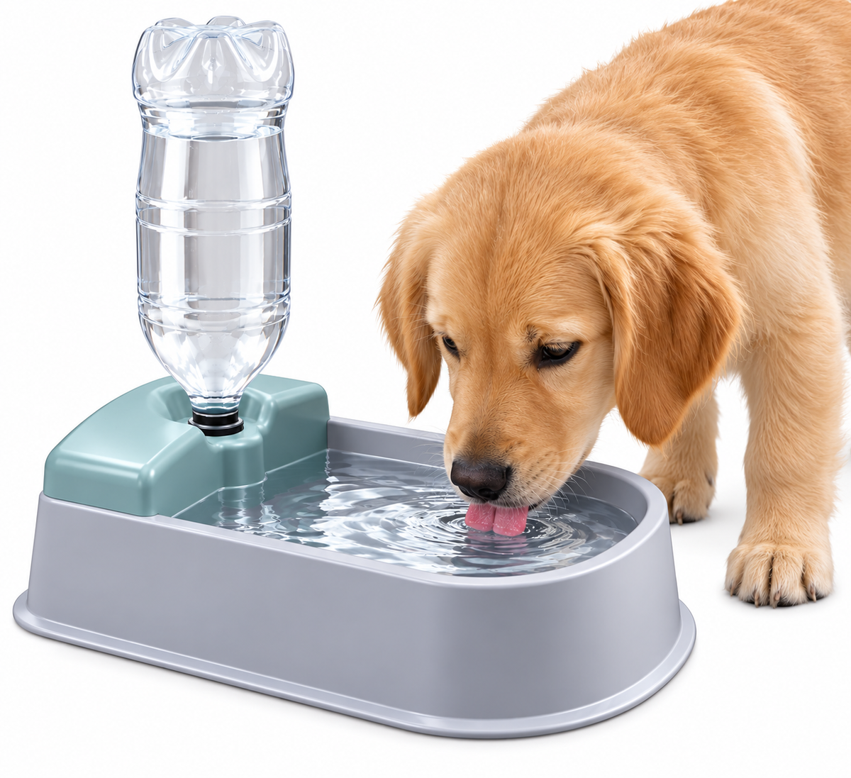 Automatic Pet Water Dispenser – Large Capacity Dog & Cat Water Bowl